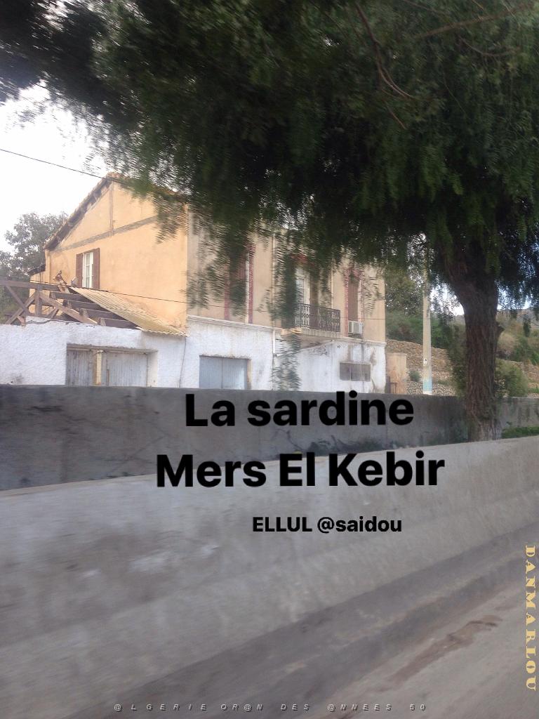 MERS EL KEBIR QUARTIER LA SARDINE 2 APRES.jpg
